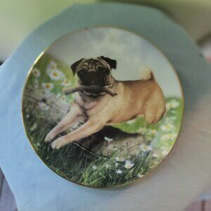 Collectable pug plate